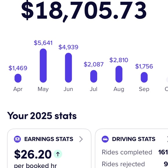 Other - Purple Bar Graph Earnings Chart